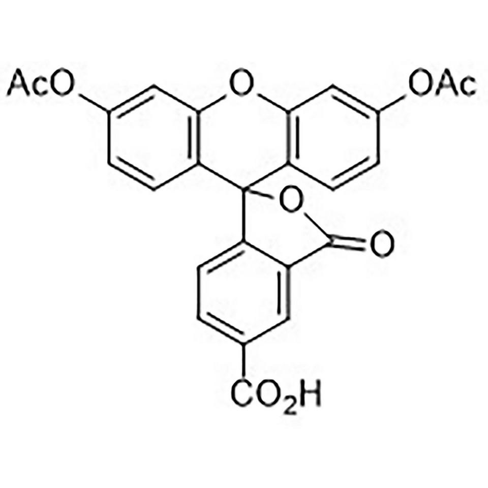 5-Carboxyfluorescein Diacetate, 1 g, Glass Screw-Top